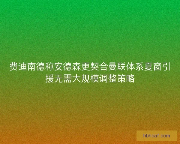 费迪南德称安德森更契合曼联体系夏窗引援无需大规模调整策略 费迪南德称安德森更契合曼联体系夏窗引援无需大规模调整策略