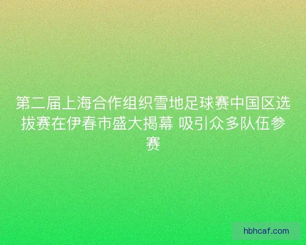 第二届上海合作组织雪地足球赛中国区选拔赛在伊春市盛大揭幕 吸引众多队伍参赛